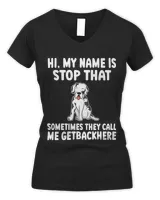 Women's V-Neck T-Shirt Women's V-Neck T-Shirt