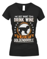 Women's V-Neck T-Shirt Women's V-Neck T-Shirt