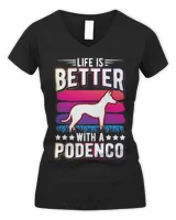 Women's V-Neck T-Shirt