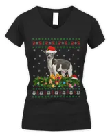 Women's V-Neck T-Shirt Women's V-Neck T-Shirt