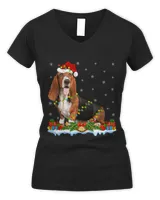 Women's V-Neck T-Shirt Women's V-Neck T-Shirt