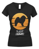 Women's V-Neck T-Shirt Women's V-Neck T-Shirt