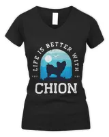 Women's V-Neck T-Shirt Women's V-Neck T-Shirt