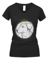 Women's V-Neck T-Shirt Women's V-Neck T-Shirt