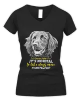 Women's V-Neck T-Shirt Women's V-Neck T-Shirt