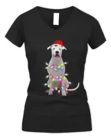 Women's V-Neck T-Shirt Women's V-Neck T-Shirt