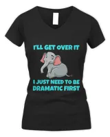 Women's V-Neck T-Shirt Women's V-Neck T-Shirt