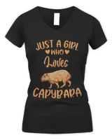 Women's V-Neck T-Shirt Women's V-Neck T-Shirt