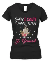 Women's V-Neck T-Shirt Women's V-Neck T-Shirt