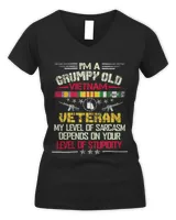 Women's V-Neck T-Shirt Women's V-Neck T-Shirt