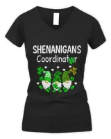 Women's V-Neck T-Shirt Women's V-Neck T-Shirt