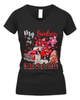 Women's V-Neck T-Shirt Women's V-Neck T-Shirt