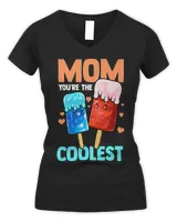 Women's V-Neck T-Shirt Women's V-Neck T-Shirt