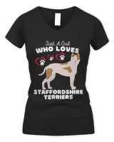 Women's V-Neck T-Shirt Women's V-Neck T-Shirt