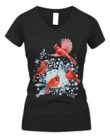 Women's V-Neck T-Shirt Women's V-Neck T-Shirt