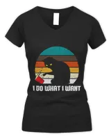 Women's V-Neck T-Shirt Women's V-Neck T-Shirt
