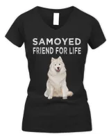 Women's V-Neck T-Shirt Women's V-Neck T-Shirt