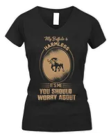 Women's V-Neck T-Shirt Women's V-Neck T-Shirt