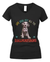 Women's V-Neck T-Shirt Women's V-Neck T-Shirt