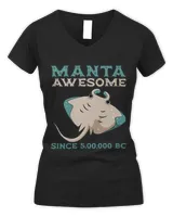 Women's V-Neck T-Shirt Women's V-Neck T-Shirt