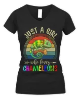 Women's V-Neck T-Shirt Women's V-Neck T-Shirt