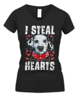 Women's V-Neck T-Shirt Women's V-Neck T-Shirt