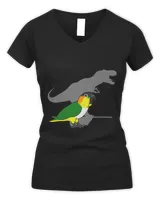 Women's V-Neck T-Shirt Women's V-Neck T-Shirt