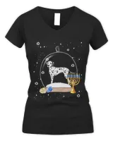 Women's V-Neck T-Shirt Women's V-Neck T-Shirt