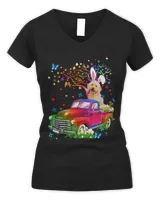 Women's V-Neck T-Shirt Women's V-Neck T-Shirt