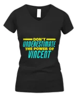 Women's V-Neck T-Shirt Women's V-Neck T-Shirt