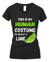 Women's V-Neck T-Shirt Women's V-Neck T-Shirt