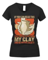 Women's V-Neck T-Shirt Women's V-Neck T-Shirt