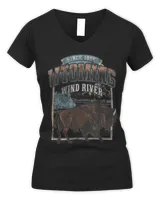 Women's V-Neck T-Shirt Women's V-Neck T-Shirt