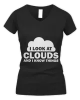 Women's V-Neck T-Shirt Women's V-Neck T-Shirt