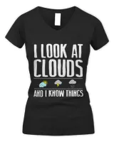 Women's V-Neck T-Shirt Women's V-Neck T-Shirt