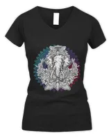 Women's V-Neck T-Shirt Women's V-Neck T-Shirt