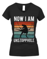 Women's V-Neck T-Shirt Women's V-Neck T-Shirt