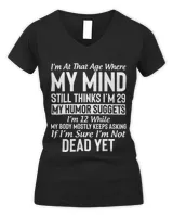 Women's V-Neck T-Shirt Women's V-Neck T-Shirt