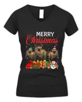 Women's V-Neck T-Shirt Women's V-Neck T-Shirt