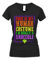 Women's V-Neck T-Shirt Women's V-Neck T-Shirt