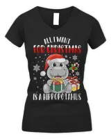 Women's V-Neck T-Shirt