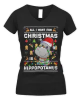 Women's V-Neck T-Shirt
