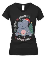 Women's V-Neck T-Shirt