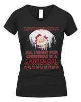 Women's V-Neck T-Shirt