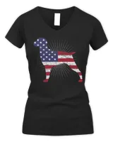 Women's V-Neck T-Shirt