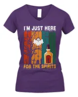 Women's V-Neck T-Shirt Women's V-Neck T-Shirt