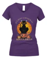 Women's V-Neck T-Shirt Women's V-Neck T-Shirt