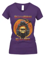 Women's V-Neck T-Shirt Women's V-Neck T-Shirt