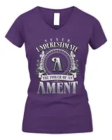 Women's V-Neck T-Shirt Women's V-Neck T-Shirt