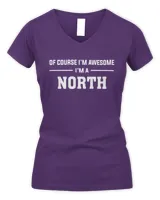 Women's V-Neck T-Shirt Women's V-Neck T-Shirt